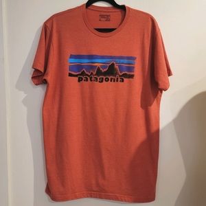 PATAGONIA Graphic T-shirt size XL